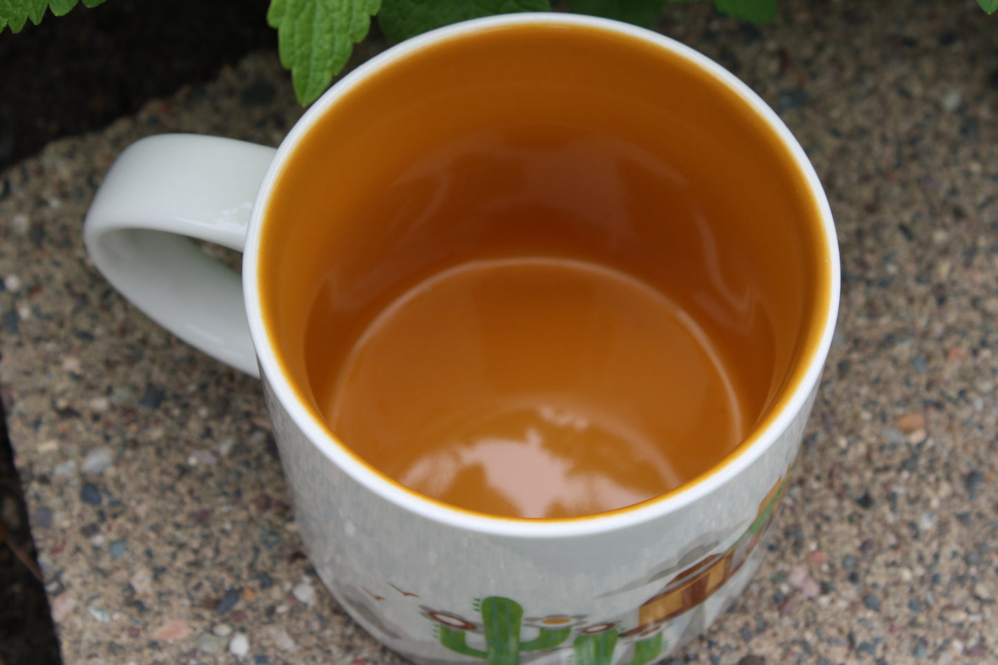 Starbucks Arizona You Are Here Mug
