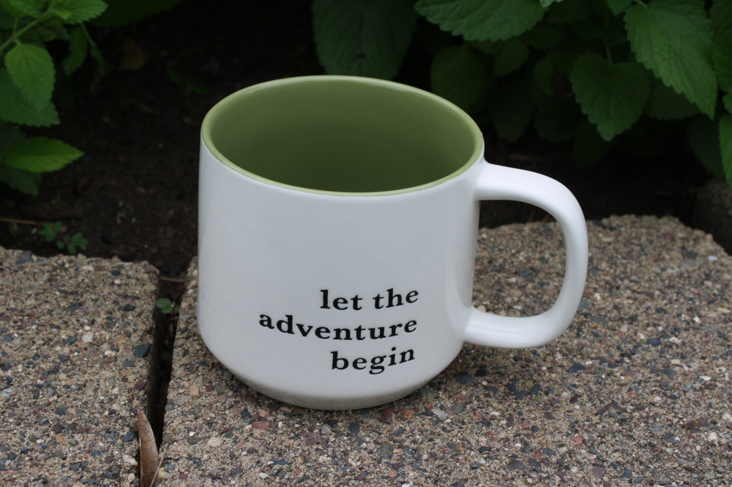 let the adventure begin mug