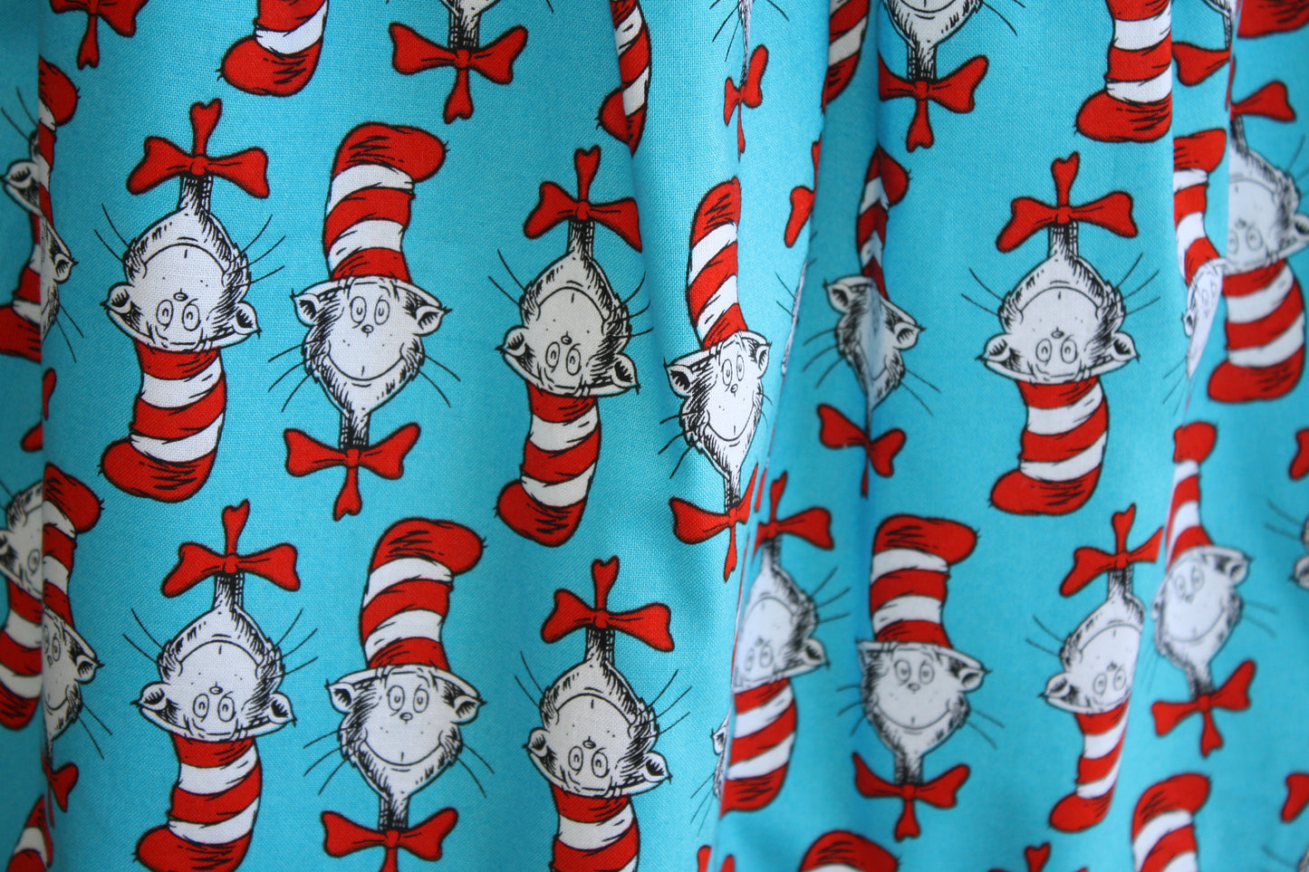 Cat in the Hat kids skirt size 5